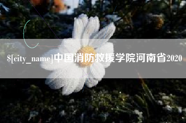 本溪中国消防救援学院河南省2020